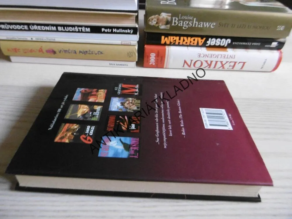 N...JAKO NÁSTRAHA, SUE GRAFTONOVÁ, **an