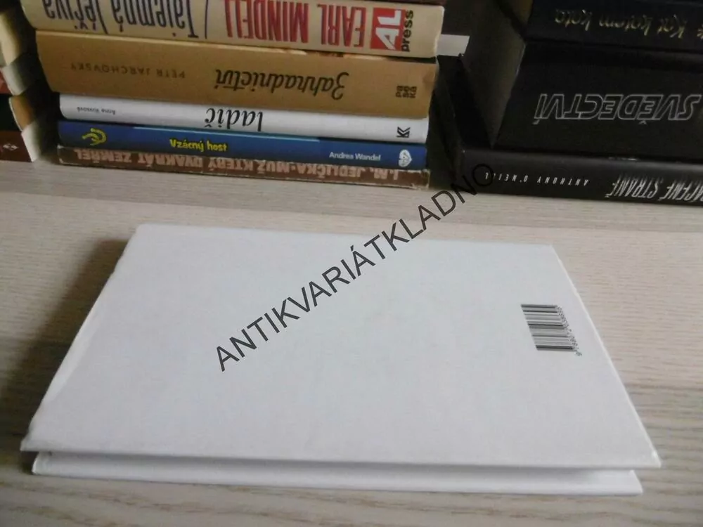 CO JSEM TO PROBOHA UDĚLAL?, ROBERT FULGHUM, **an