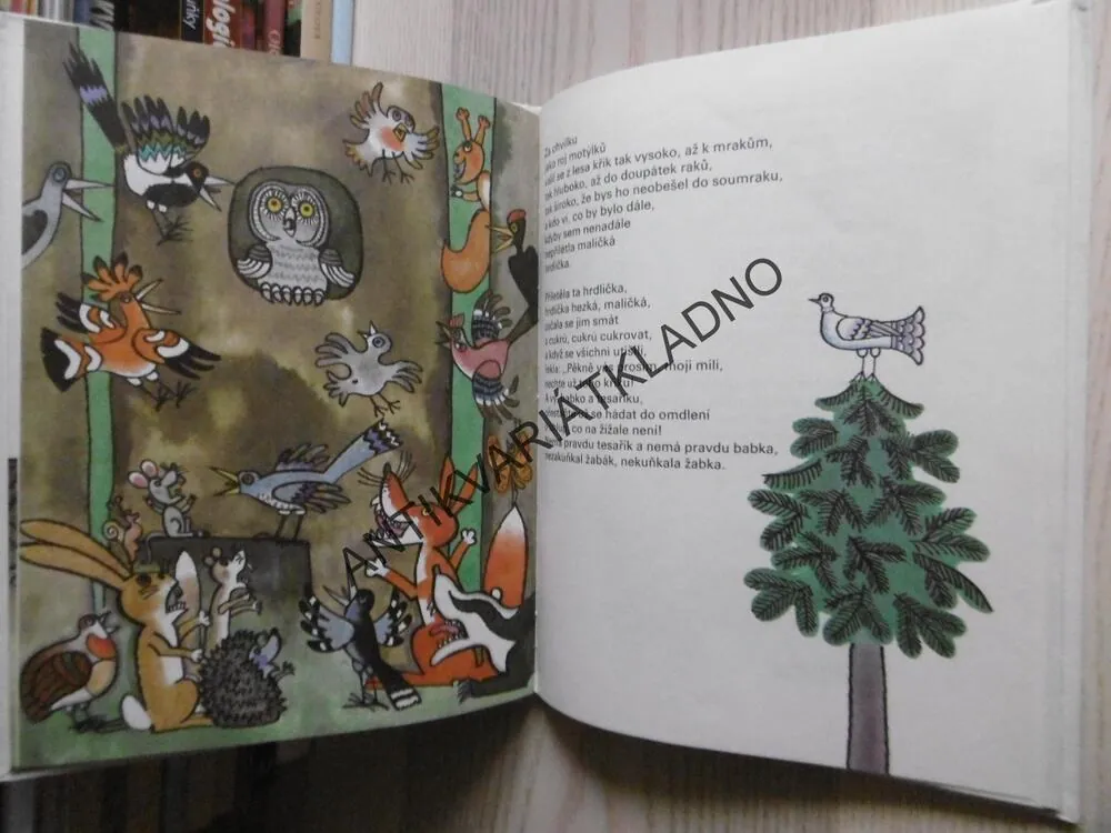 HRÁTKY SE ZVÍŘÁTKY, KAREL ČERNÝ, **an