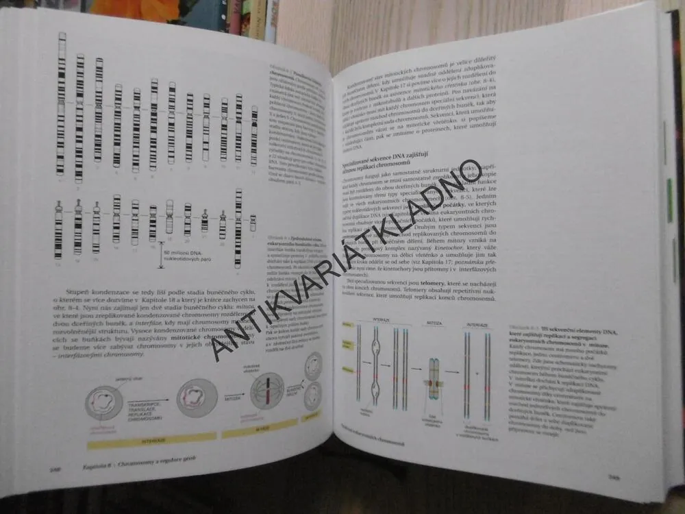 ZÁKLADY BUNĚČNÉ BIOLOGIE, ÚVOD DO MOLEKULÁRNÍ BIOLOGIE BUŇKY,