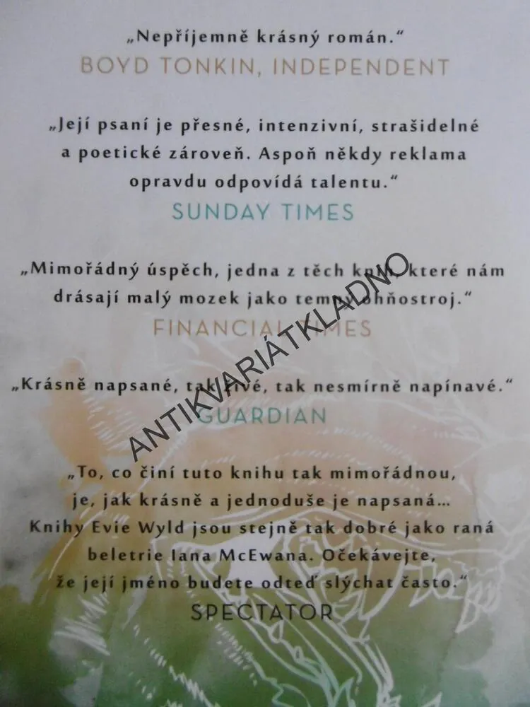 ZPÍVÁ, ZPÍVÁ, KAŽDÝ PTÁK, EVIE WYLD, **an