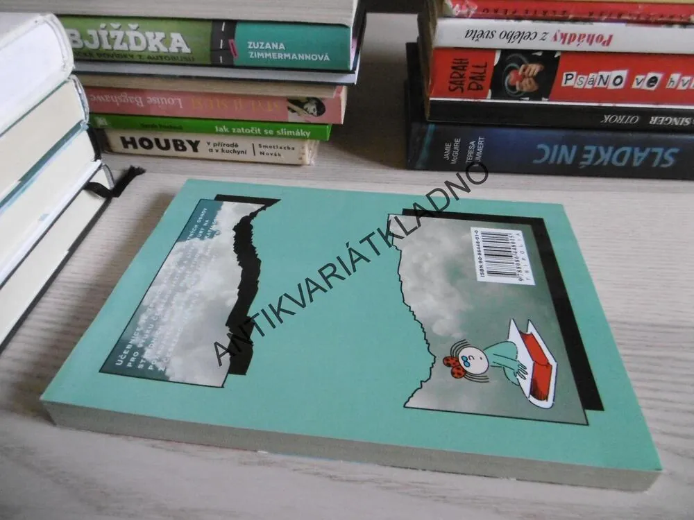 LITERATURA 1, VĚRA MARTINOVÁ, 