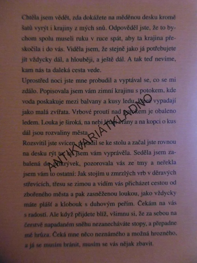 LISTY MARKÉTĚ, TEREZA BRDEČKOVÁ, **an