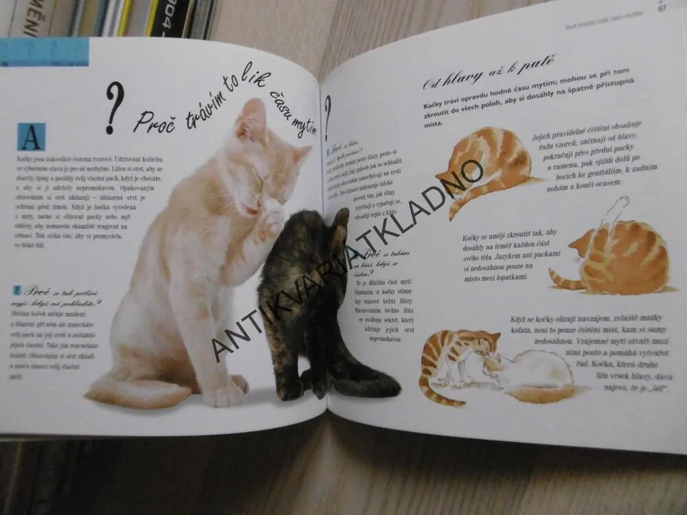 101 OTÁZEK NA KTERÉ SE VAŠE KOČKA BUDE PTÁT, **an