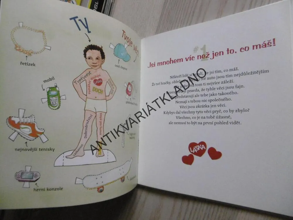 JSI MNOHEM VÍC NEŽ JEN TO CO MÁŠ, DR.WAYNE W.DYER, **an
