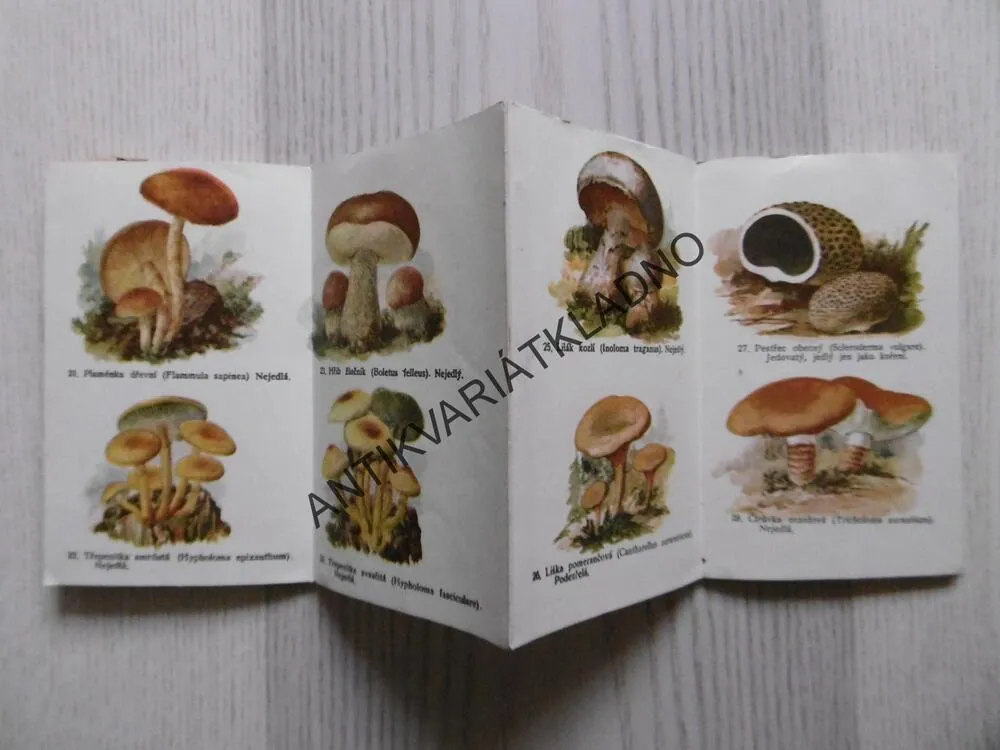 HOUBY, JEDOVATÉ, PODEZŘELÉ A NEJEDLÉ, KAPESNÍ ATLAS,