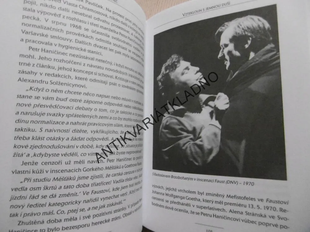PETR HANIČINEC, VZTEKLOUN S JEMNOU DUŠÍ, JAN HERGET, **an
