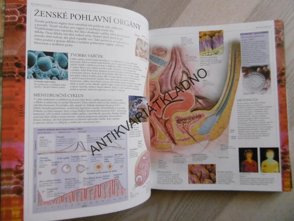 ČLOVĚK, OBRAZOVÁ ENCYKLOPEDIE LIDSTVA, **an