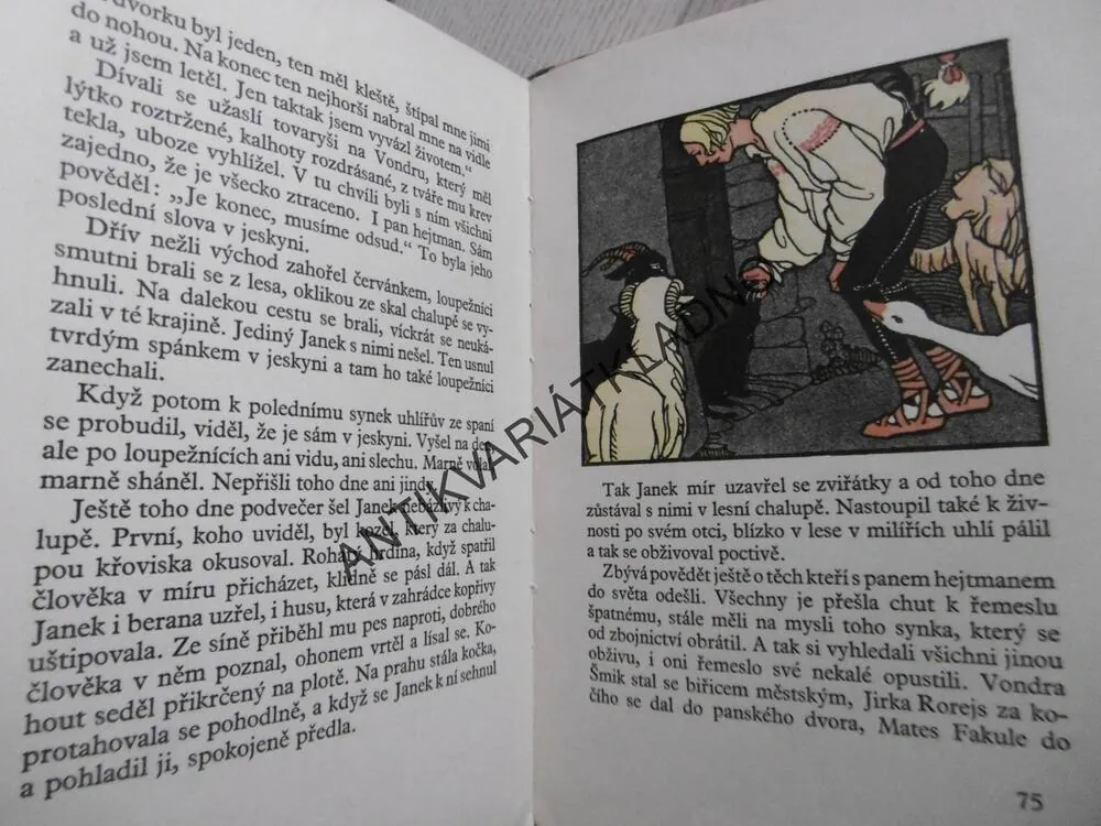 ZVÍŘÁTKA A LOUPEŽNÍCI, ADOLF WENIG, 1935, **an