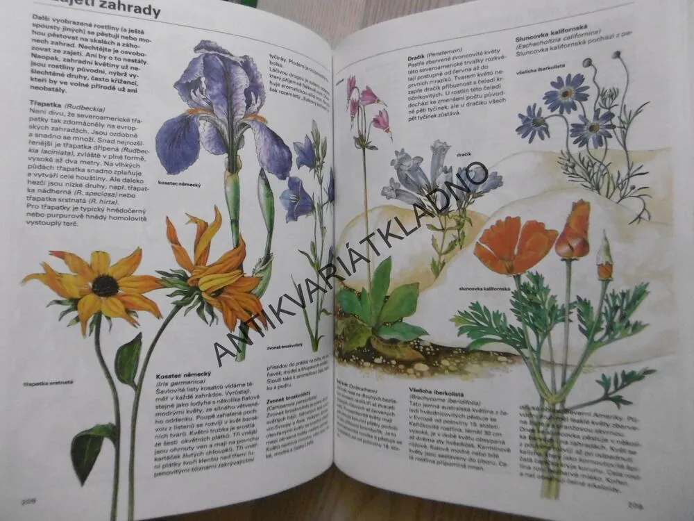 PESTRÁ PŘÍRODA, ZOOLOGIE, BOTANIKA, MINERALOGIE, **an