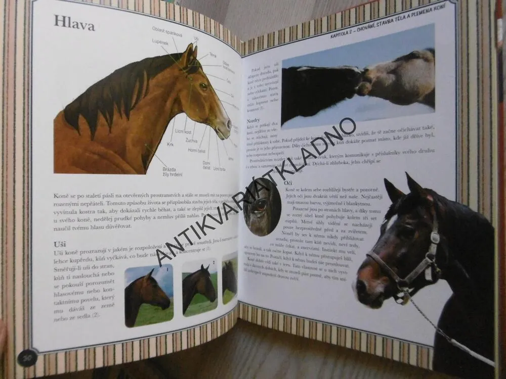 MOJE VELKÁ KNIHA KONĚ, **an