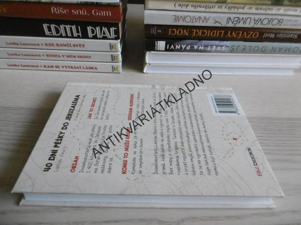 40 DNÍ PĚŠKY DO JERUZALÉMA, LADISLAV ZIBURA, **an