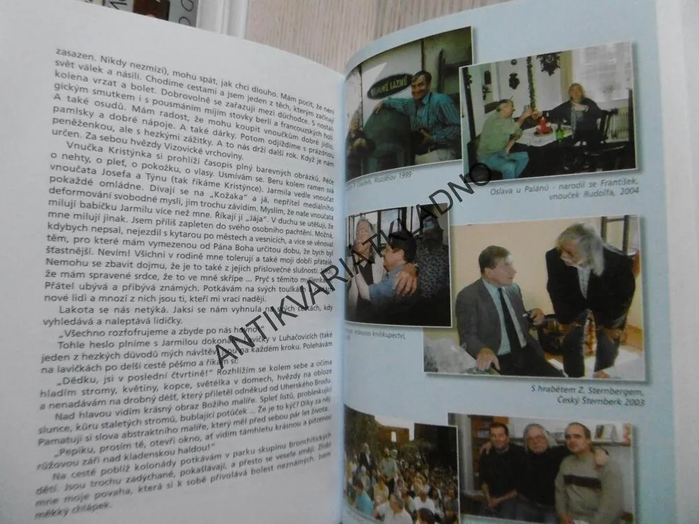ANDĚLÉ S RUČENÍM OMEZENÝM,JOSEF FOUSEK, **an