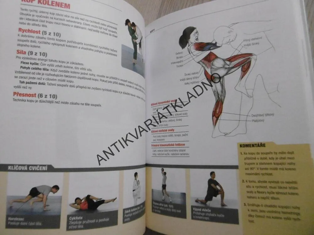 BOJOVÁ UMĚNÍ, ANATOMIE, NORMAN LINK, SPORT, **an