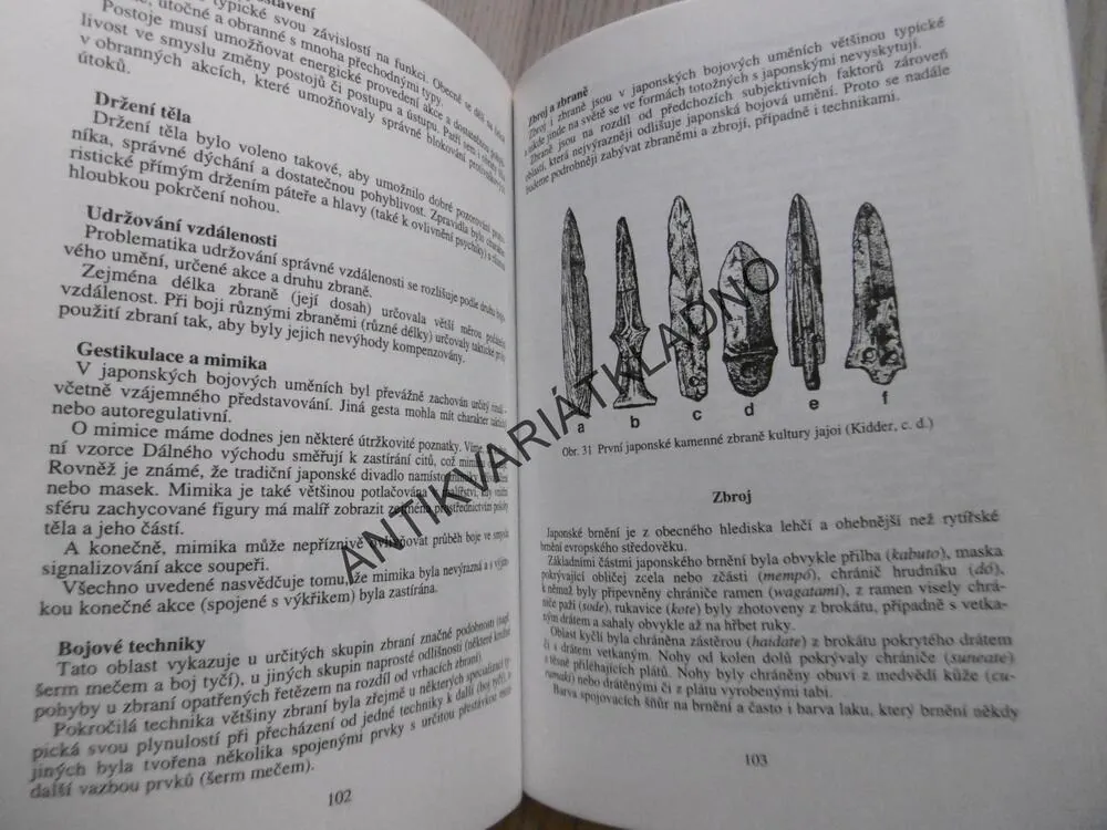 JAPONSKÁ BOJOVÁ UMĚNÍ, IVAN FOJTÍK, **an