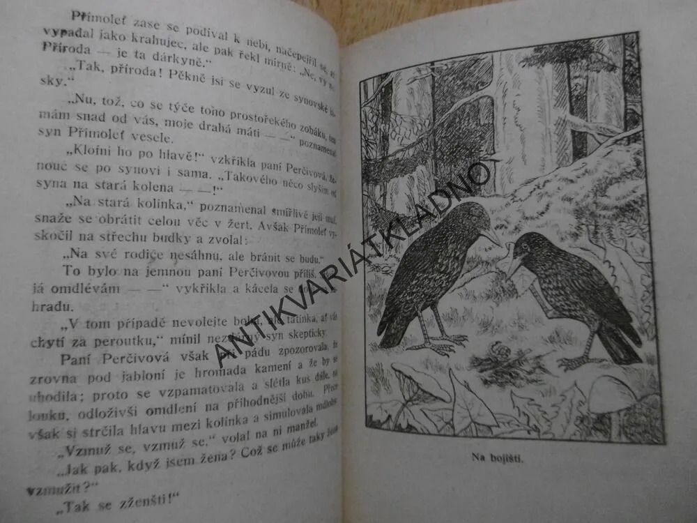 RODINA ŠPAČKA PERČIVY, J.R.HRADECKÝ, JOSEF LADA,