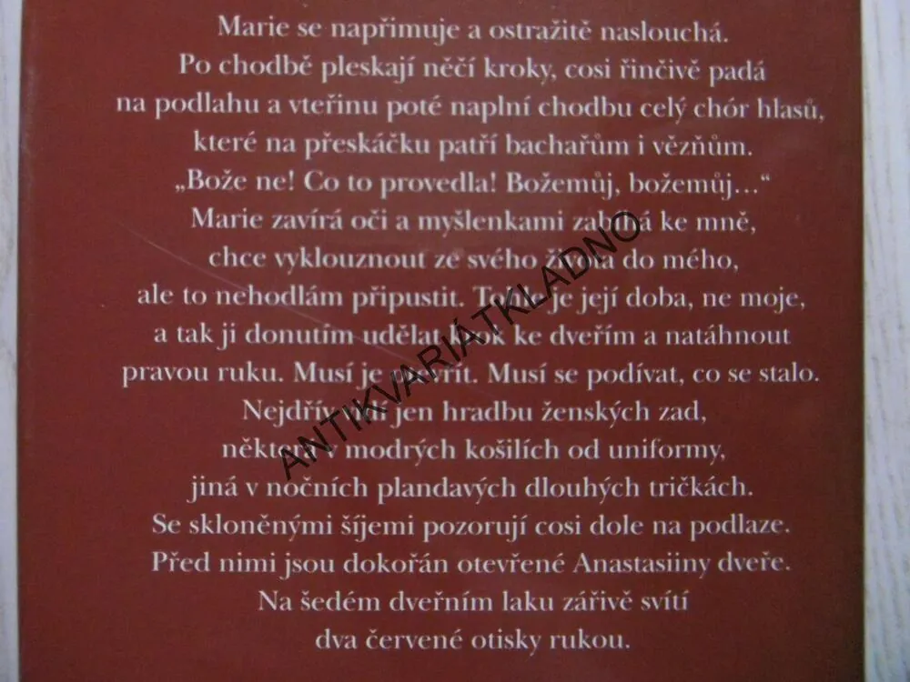 TA, KTEROU JSEM SE NESTALA, MAJGULL AXELSSONOVÁ, **an