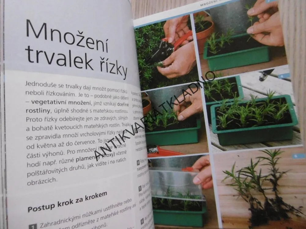 ZAHRÁDKA PRO KAŽDÉHO, DOROTHEA BAUMJOHANNOVÁ, **an