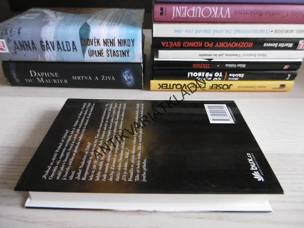 ROZPUSŤ VLASY, OTEVŘI BRÁNU, ANNA ŠOCHOVÁ, **an