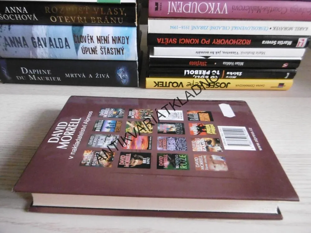 NEBEZPEČNÁ MINULOST, DAVID MORRELL, **an