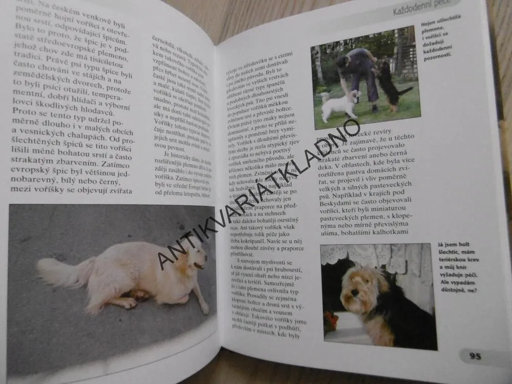 VOŘÍŠEK, HELENA KHOLOVÁ, **an