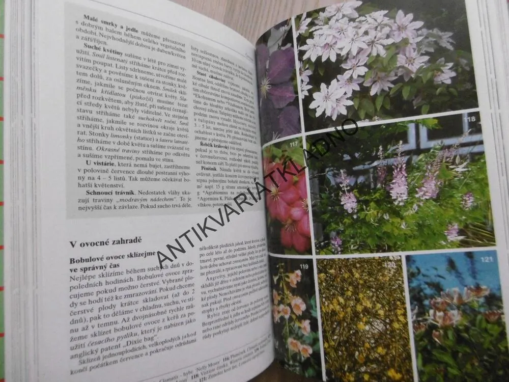 DVANÁCT MĚSÍCŮ V ZAHRADĚ, HOBBY, **an