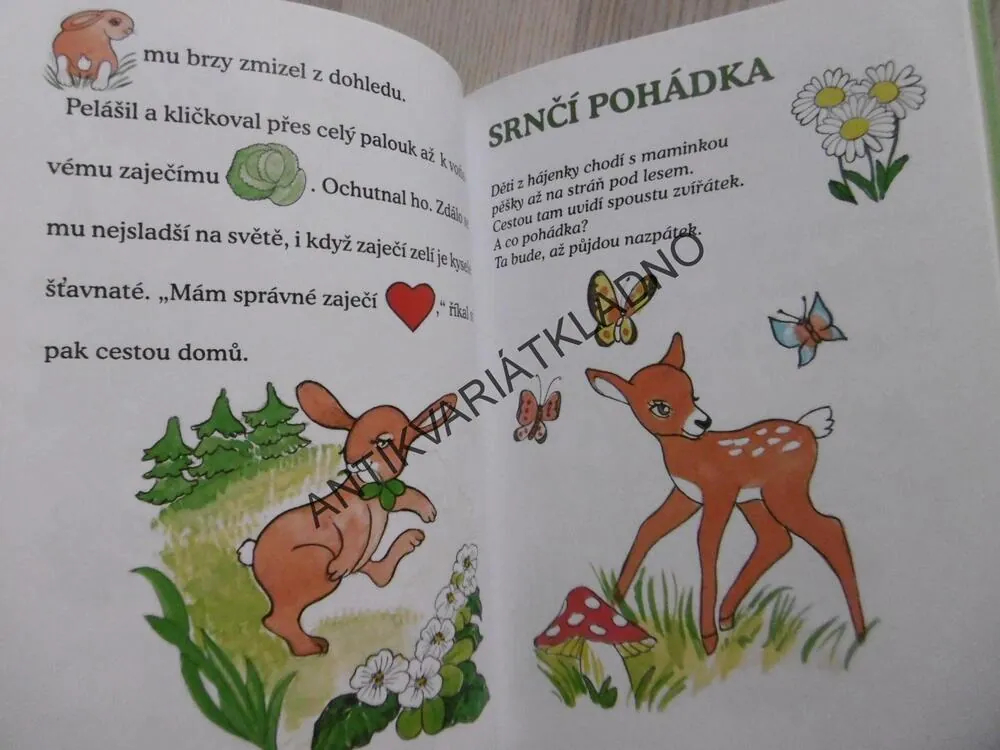 POHÁDKY Z HÁJOVNY, GABRIELA KOPCOVÁ, **an