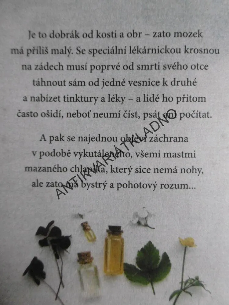 POTULNÝ APATYKÁŘ, WOLF SERNO, **an