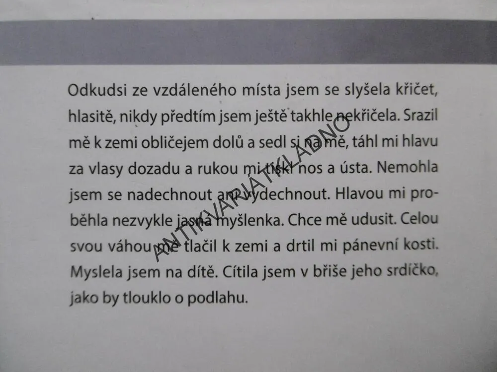 NAPROSTÝ CIZINEC, V MOCI TYRANA, KAY SCHUBACHOVÁ, **an