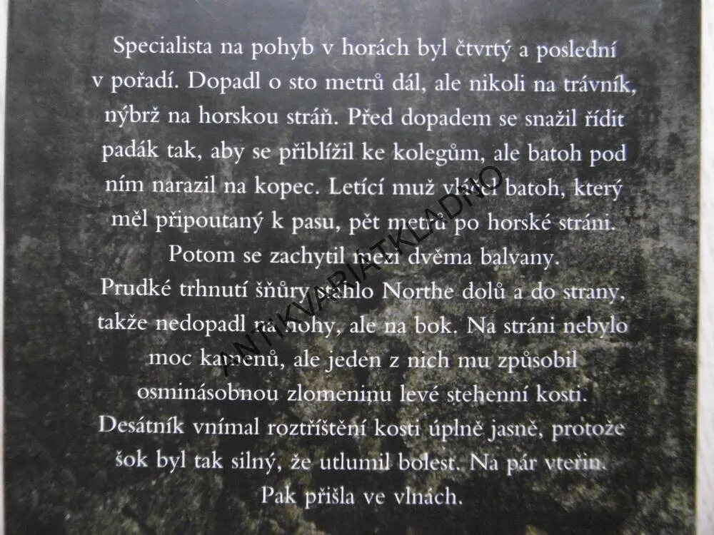 BOŽÍ PĚST, FREDERICK FORSYTH, **an