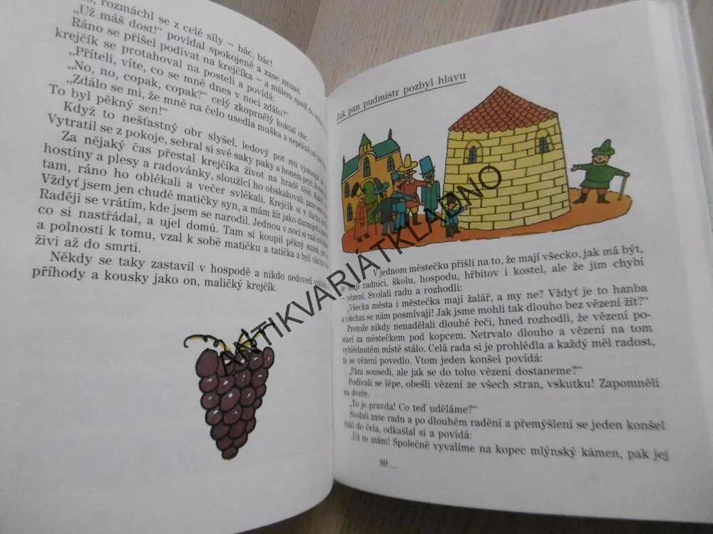 JAK PLULI HANÁCI PŘES MOŘE, OLDŘICH SIROVÁTKA, **an
