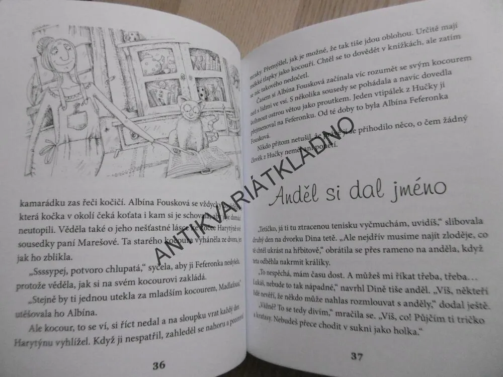 DINA A TAJEMSTVÍ STARÝCH TENISEK, MARIE KŠAJTOVÁ, **an