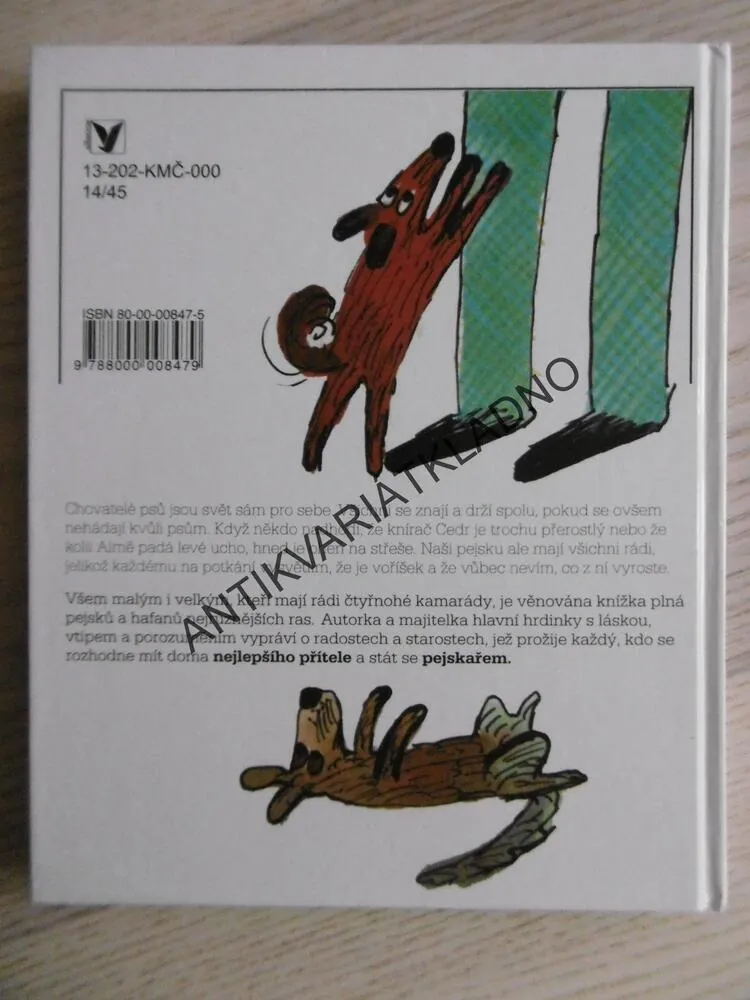 PEJSKOVÁNÍ S POLYNOU, HANA DOSKOČILOVÁ, **an