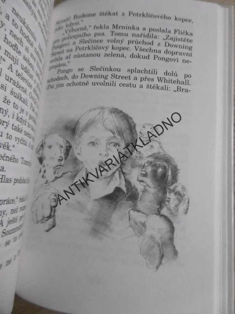 PSÍ HVĚZDA, DODIE SMITHOVÁ, **an