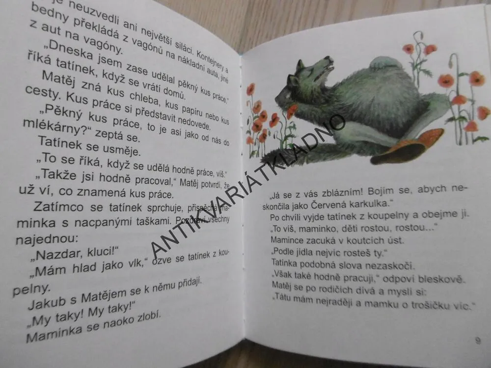 MATĚJ A JEHO SVĚT, LUDVÍK STŘEDA, **an
