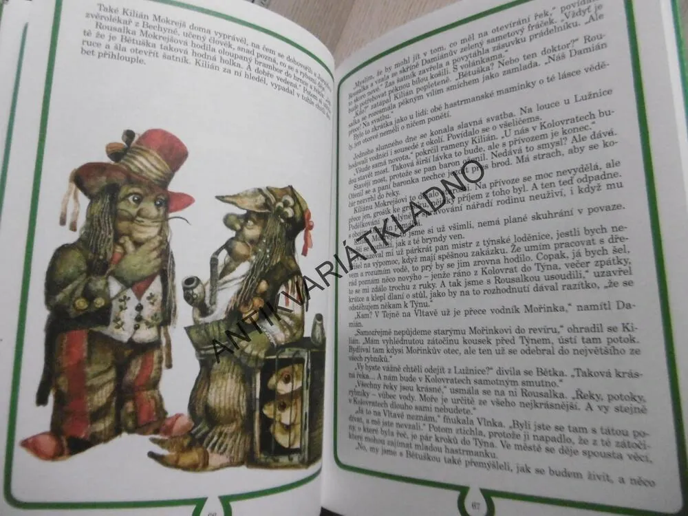 MOKREJŠOVÉ, VODNÍCI Z LOUŽE, ILONA BORSKÁ, **an