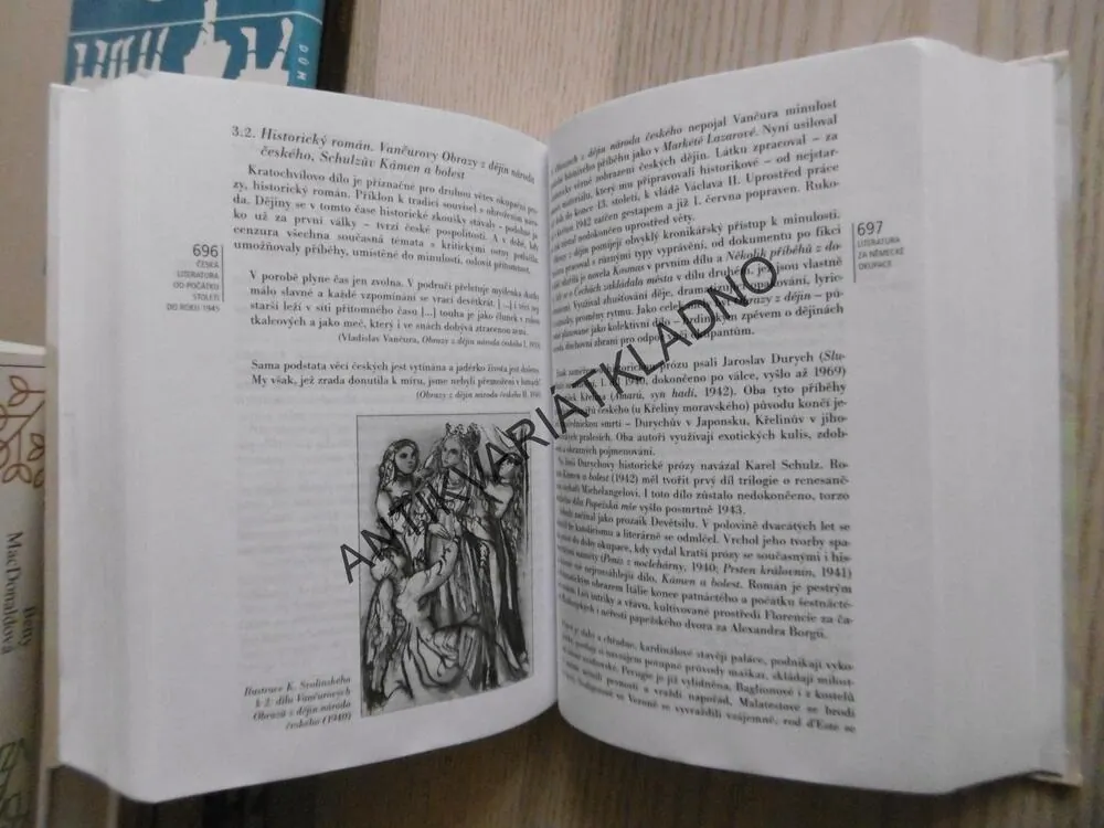 ČESKÁ LITERATURA OD POČÁTKŮ K DNEŠKU, JAN LEHÁR, ALEXANDR STICH, JAROSLAVA JANÁČKOVÁ, JIŘÍ HOLÝ, **an