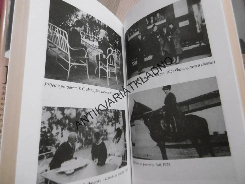DOKTORKA Z DOMU TRUBAČŮ, ILONA BORSKÁ, **an