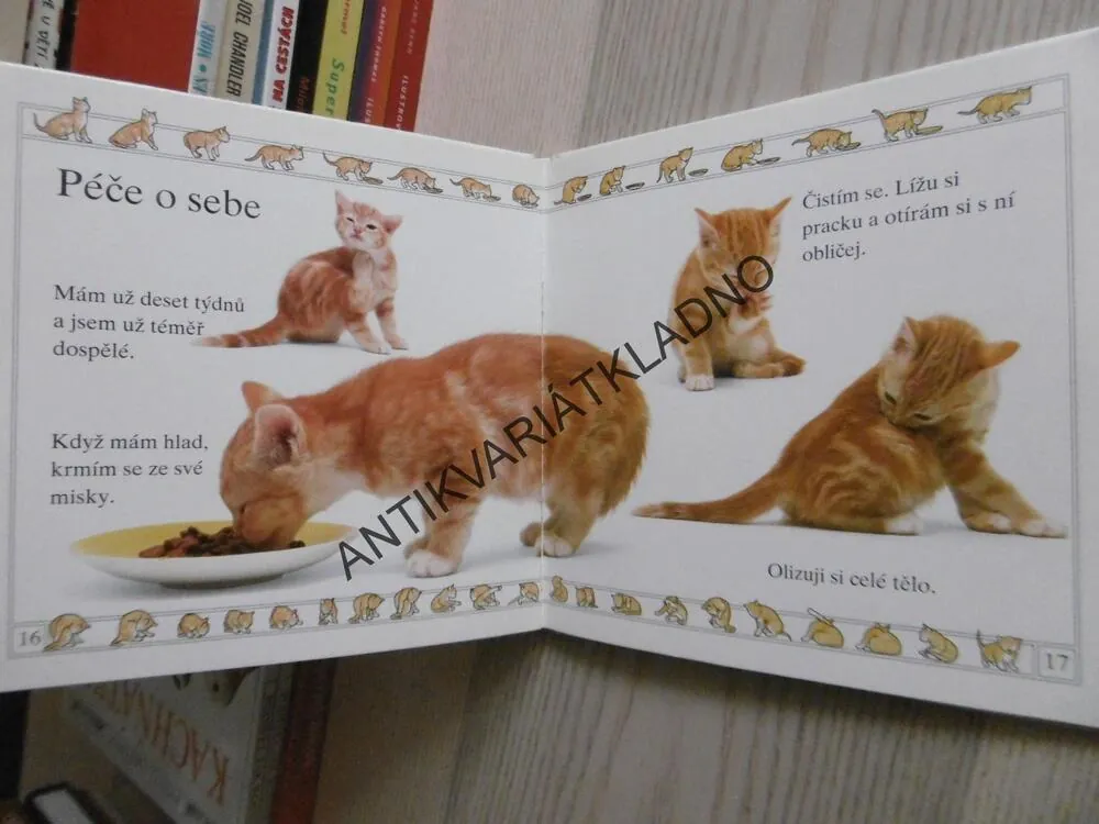 KOŤÁTKO, **an