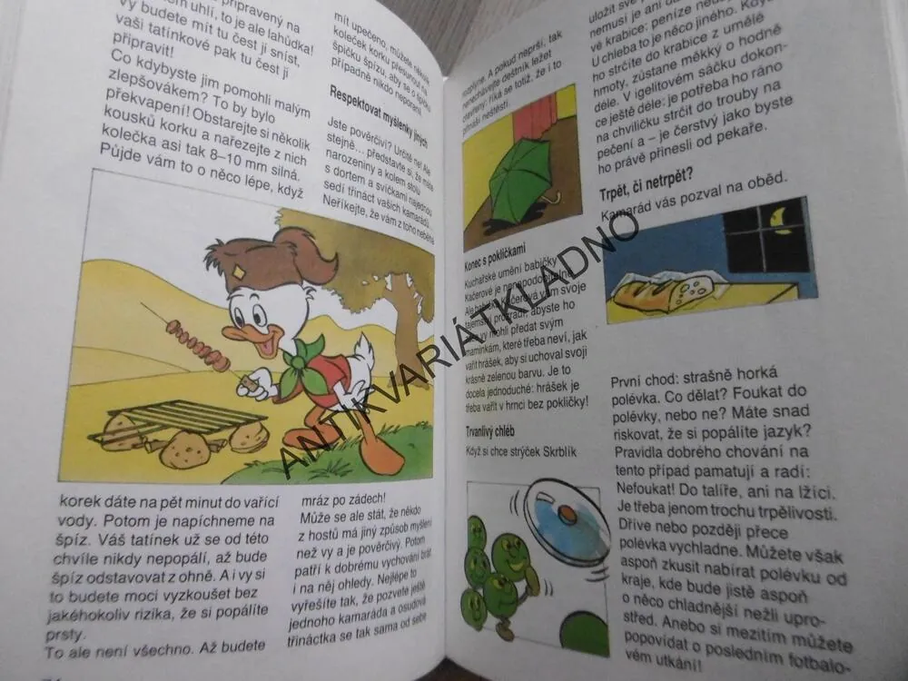 PŘÍRUČKA MLADÝCH SVIŠŤŮ, TAJNÁ KNIHA NA HRANÍ DOMA I VENKU, WALT DISNEY, **an