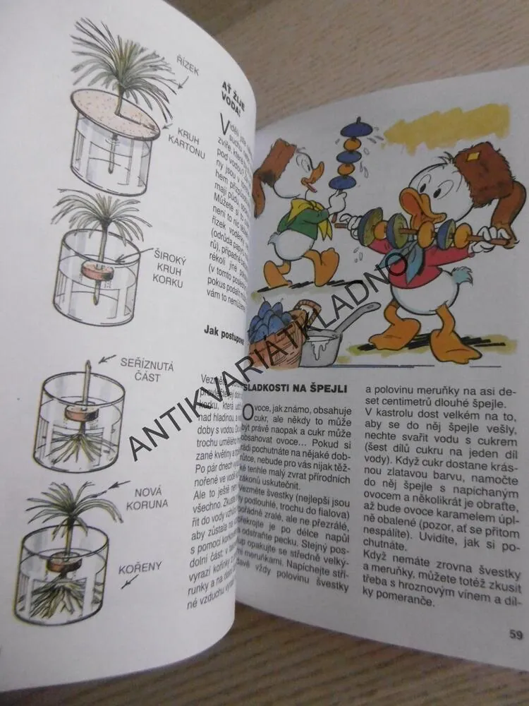 5. PŘÍRUČKA MLADÝCH SVIŠŤŮ, WALT DISNEY, **an