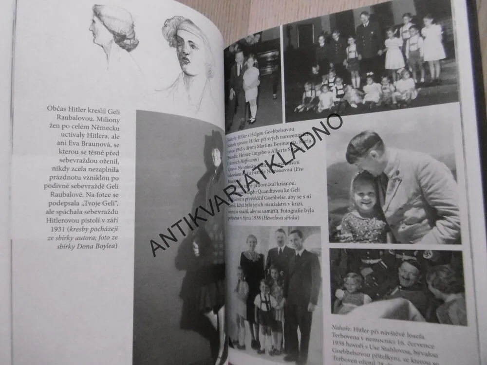 HITLEROVA VÁLEČNÁ STEZKA, NĚMECKO 1933-1939, DAVID IRVING, **an