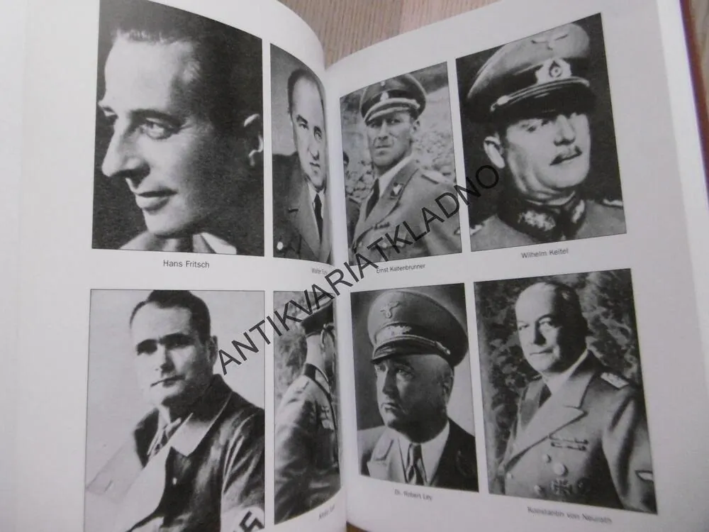NORIMBERK, POSLEDNÍ BITVA, DAVID IRVING, **an