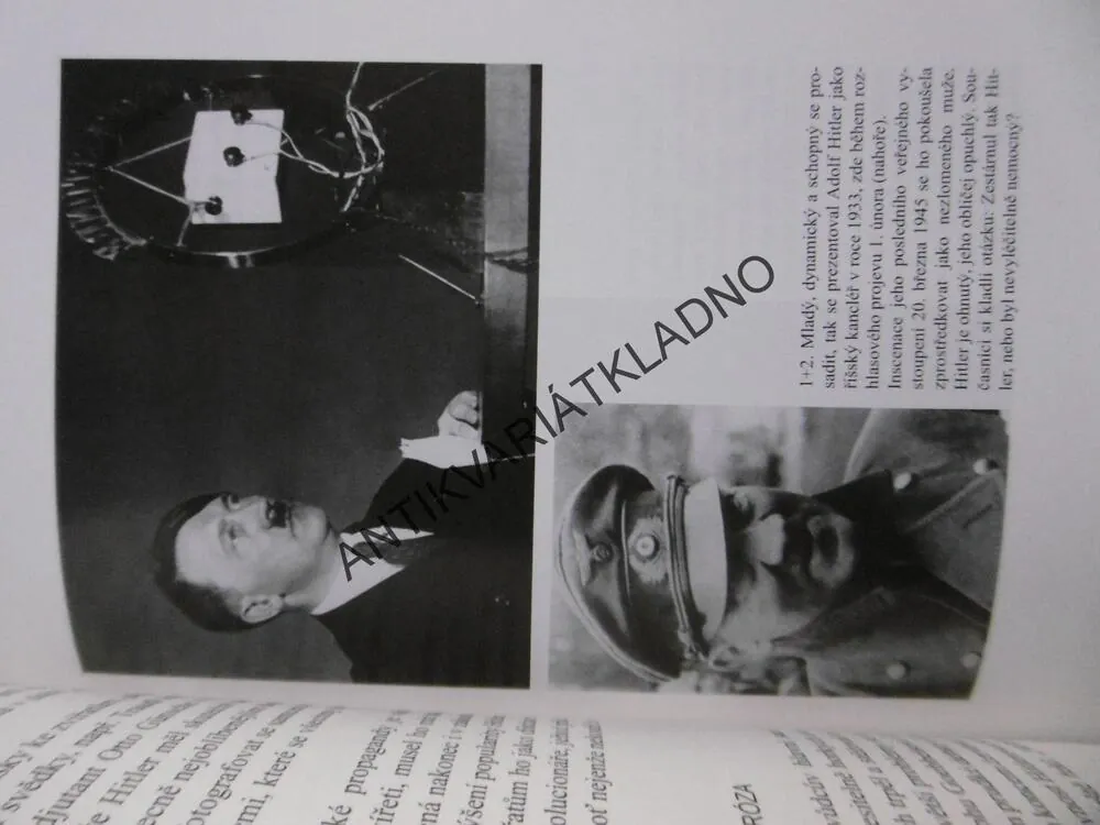 BYL HITLER NEMOCNÝ?, ZÁVĚREČNÝ NÁLEZ, HANS-JOACHIM NEUMANN, HENRIK EBERLE, **an
