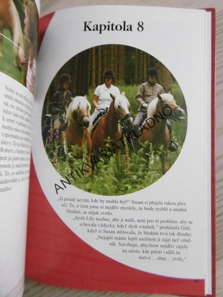 ZTRACENA V DIVOČINĚ, R.E.TORESEN, TAJUPLNÉ PRÁZDNINY 2006, **an