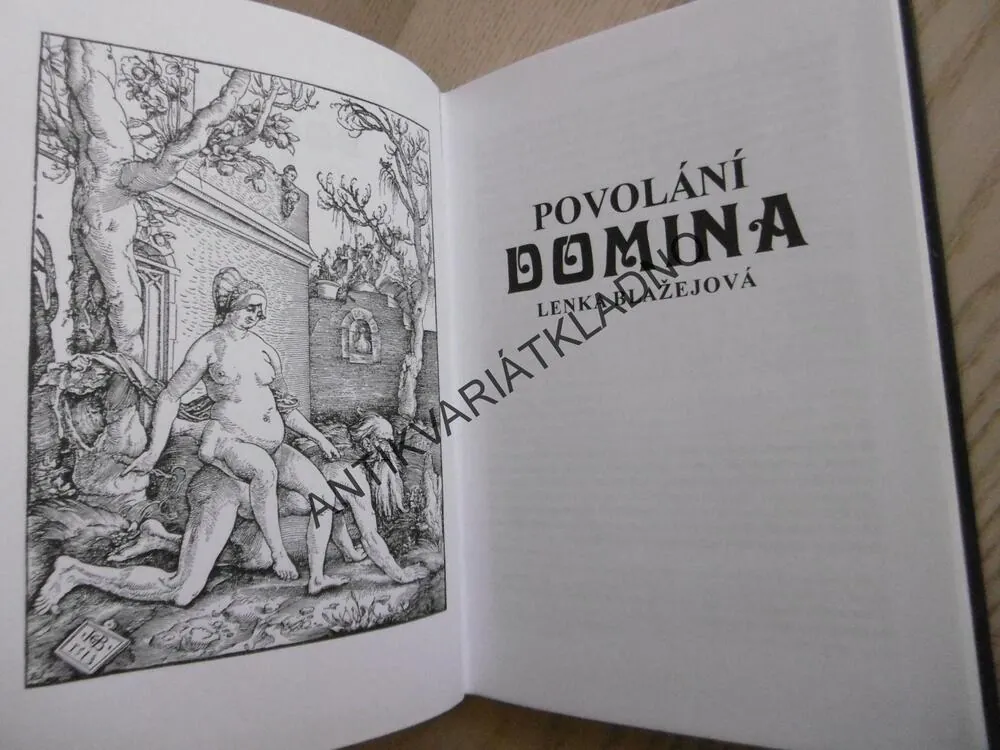 POVOLÁNÍ DOMINA, LENKA BLAŽEJOVÁ, **an