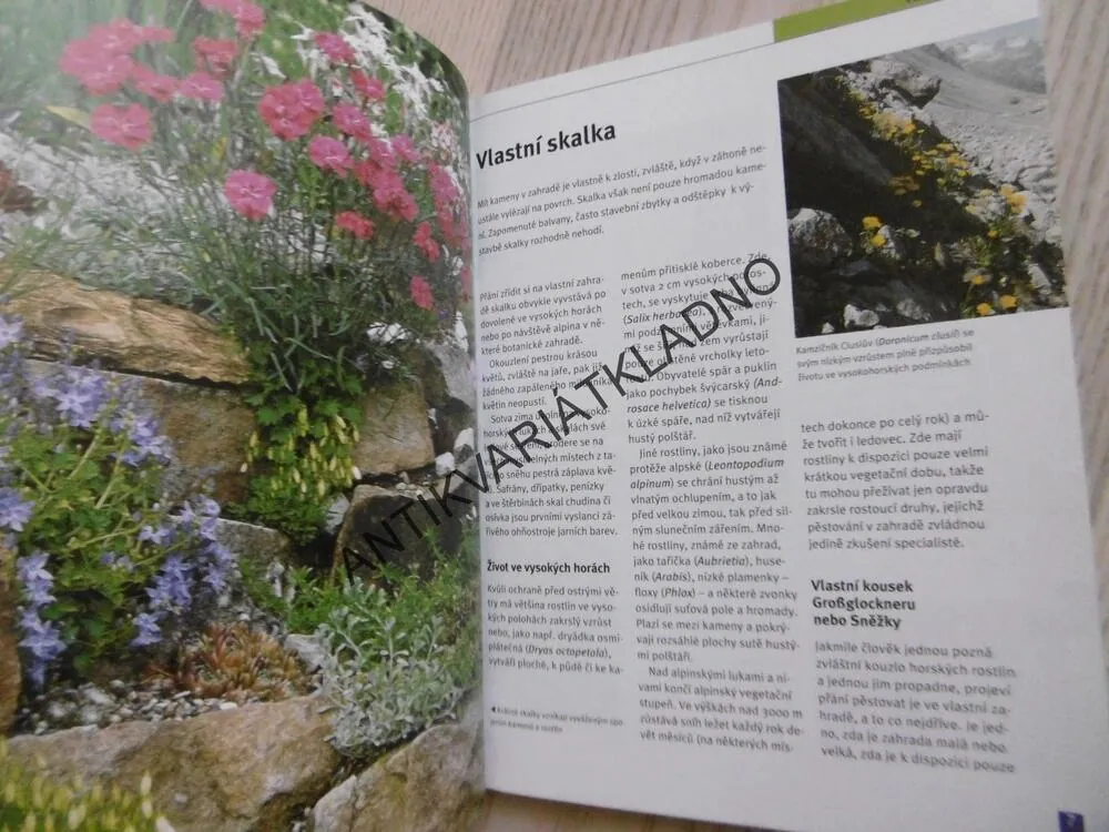 SKALKY A SKALNIČKY, HANS MARTIN SCHMIDT, **an