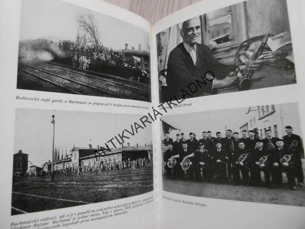 SVĚDKOVÉ VZDÁLENÉ PŘÍTOMNOSTI, STANISLAV ŠUSTA, **an