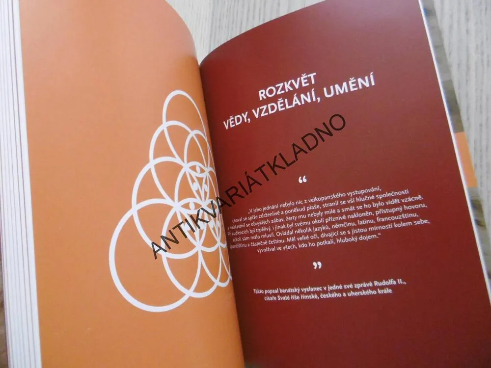 SPOLEČNÝMA OČIMA, LEA PAULÍNOVÁ, **an