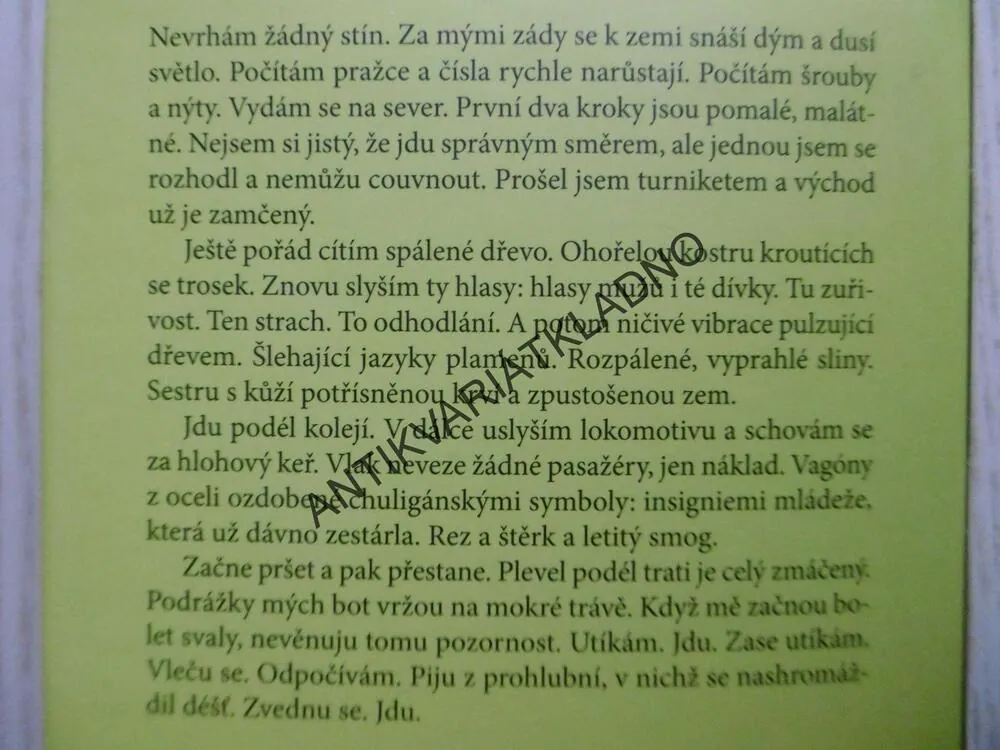 KRÁLOVSTVÍ ELMET, FIONA MOZLEY, **an